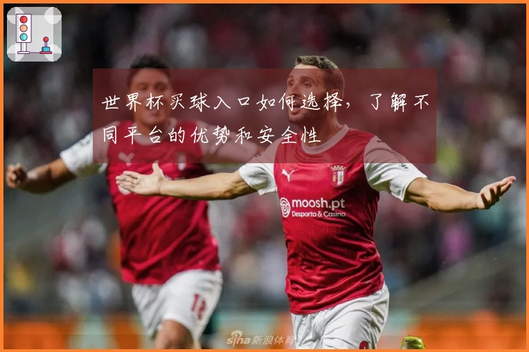 世界杯买球入口如何选择，了解不同平台的优势和安全性