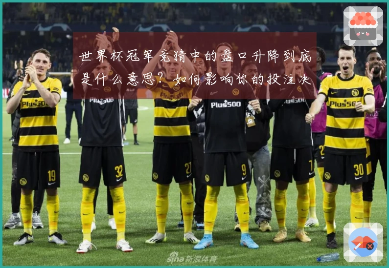 世界杯冠军竞猜中的盘口升降到底是什么意思？如何影响你的投注决策？