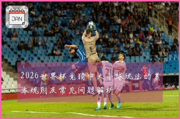 2026世界杯竞猜中大小球玩法的基本规则及常见问题解析