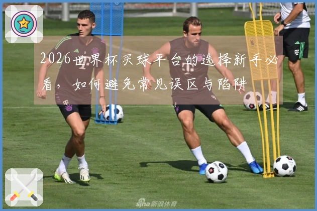 2026世界杯买球平台的选择新手必看，如何避免常见误区与陷阱