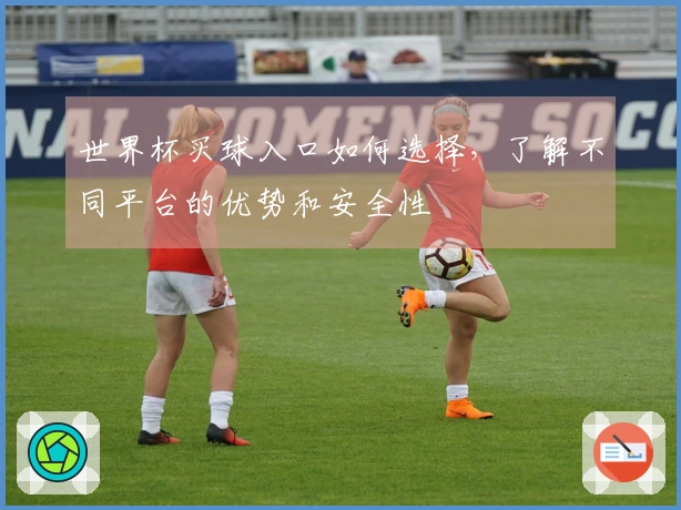 世界杯买球入口如何选择，了解不同平台的优势和安全性