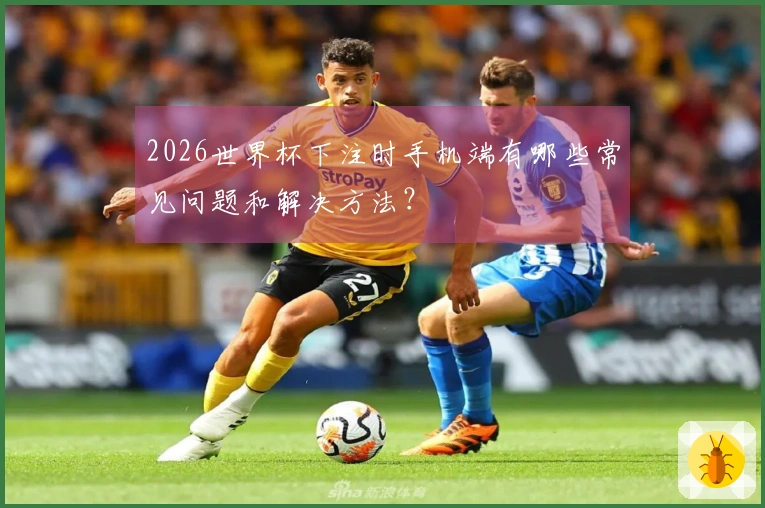2026世界杯下注时手机端有哪些常见问题和解决方法？