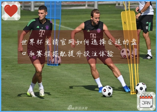 世界杯竞猜官网如何选择合适的盘口和赛程搭配提升投注体验