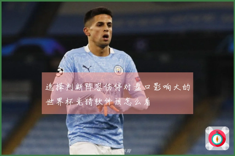 选择判断阵容伤停对盘口影响大的世界杯竞猜软件该怎么看