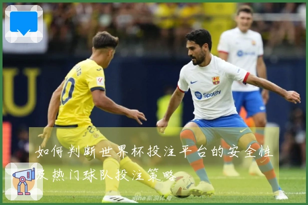 如何判断世界杯投注平台的安全性及热门球队投注策略