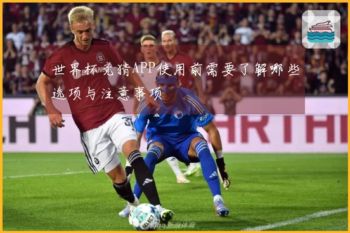 世界杯竞猜APP使用前需要了解哪些选项与注意事项