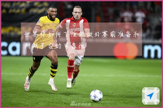 世界杯如何下注能做好赛前准备和判断平台的可靠性