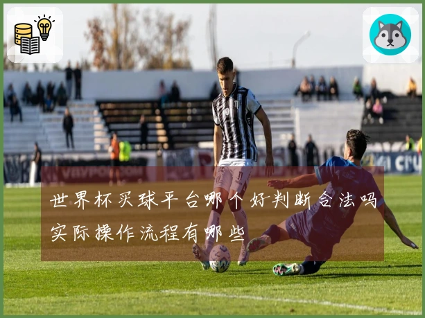 世界杯买球平台哪个好判断合法吗实际操作流程有哪些