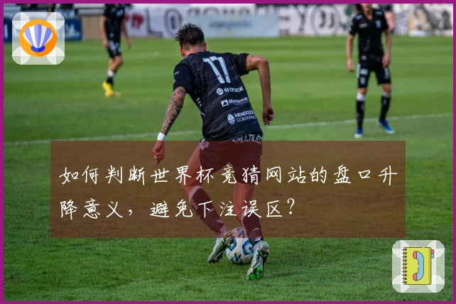 如何判断世界杯竞猜网站的盘口升降意义，避免下注误区？