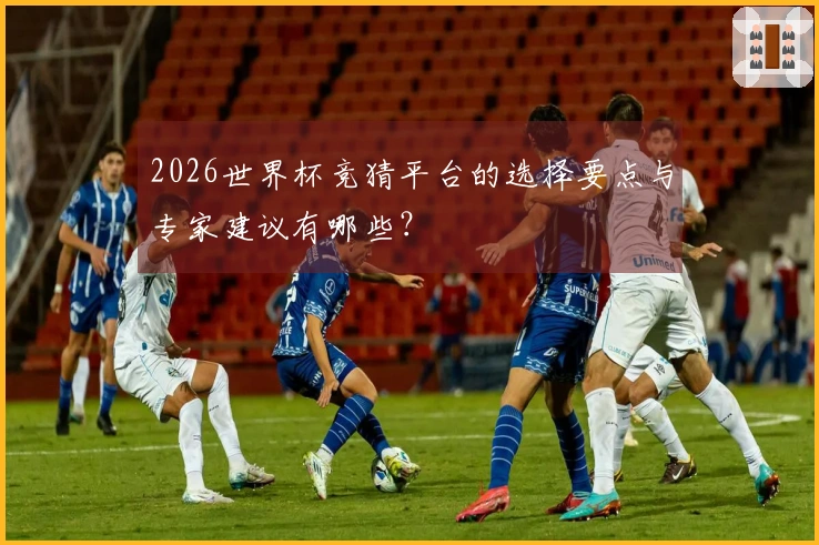 2026世界杯竞猜平台的选择要点与专家建议有哪些？