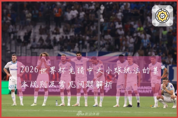 2026世界杯竞猜中大小球玩法的基本规则及常见问题解析