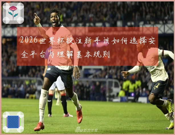 2026世界杯投注新手该如何选择安全平台与理解基本规则