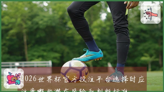 2026世界杯官方投注平台选择时应注意哪些潜在风险和判断标准
