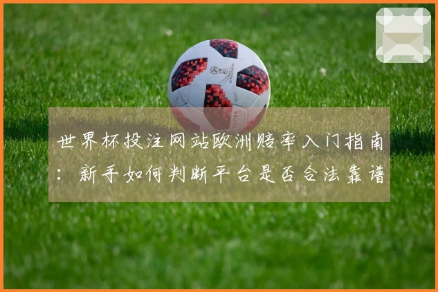 世界杯投注网站欧洲赔率入门指南：新手如何判断平台是否合法靠谱
