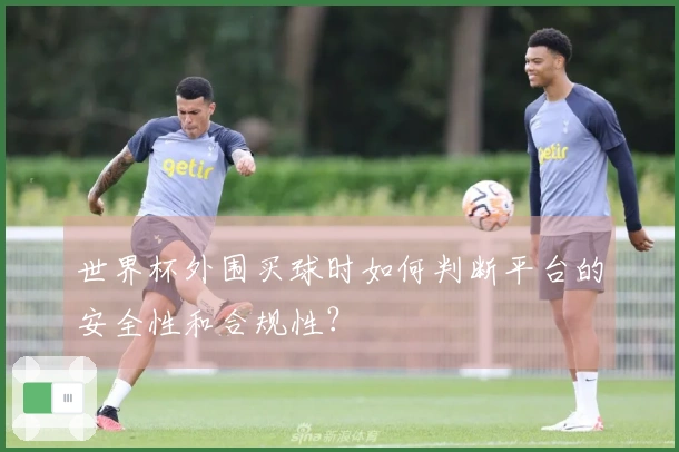 世界杯外围买球时如何判断平台的安全性和合规性？