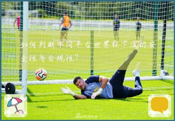 如何判断不同平台世界杯下注的安全性与合规性？