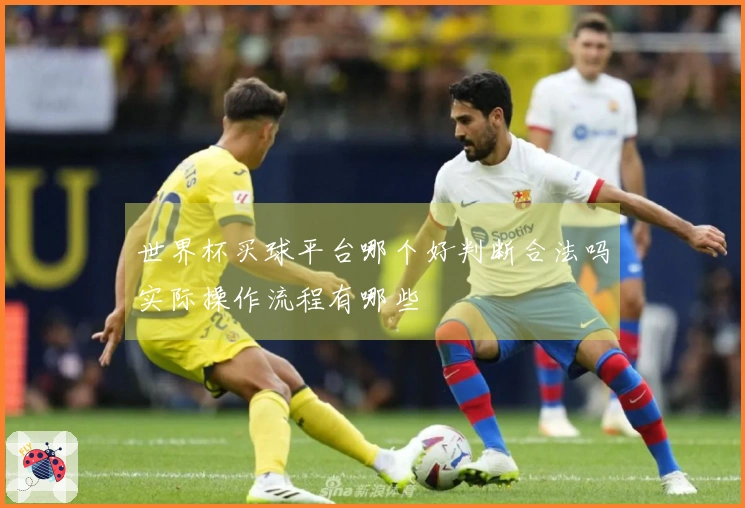 世界杯买球平台哪个好判断合法吗实际操作流程有哪些