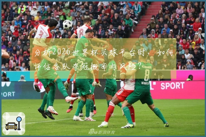 分析2026世界杯买球平台时，如何评估各队夺冠概率与风险？