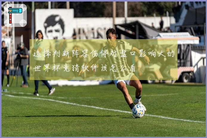 选择判断阵容伤停对盘口影响大的世界杯竞猜软件该怎么看