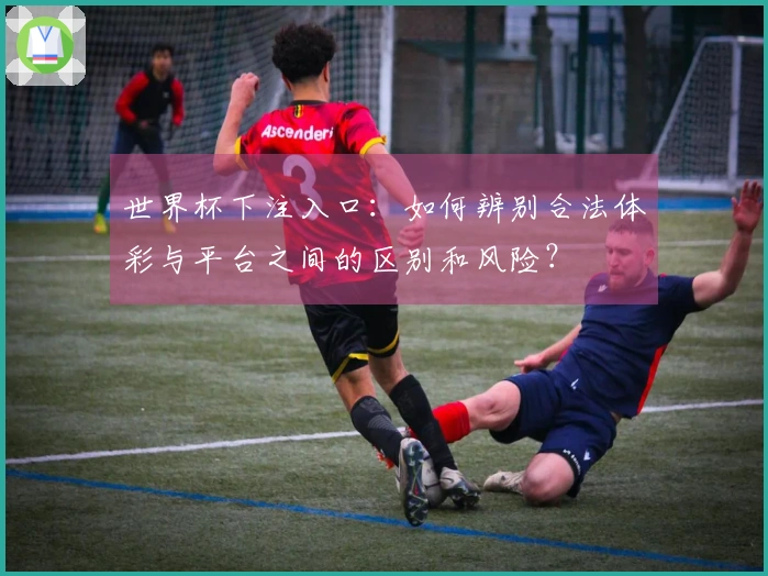 世界杯下注入口:如何辨别合法体彩与平台之间的区别和风险?