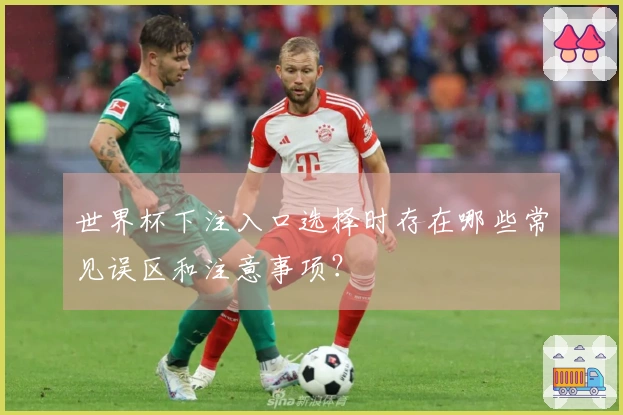 世界杯下注入口选择时存在哪些常见误区和注意事项？