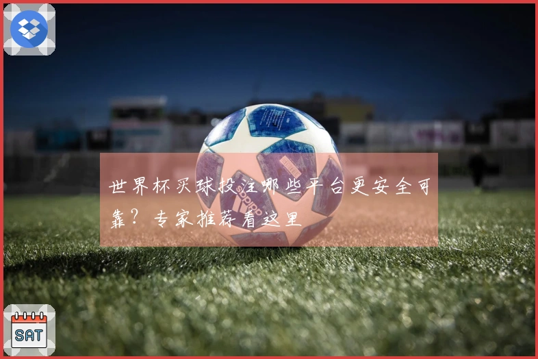世界杯买球投注哪些平台更安全可靠？专家推荐看这里