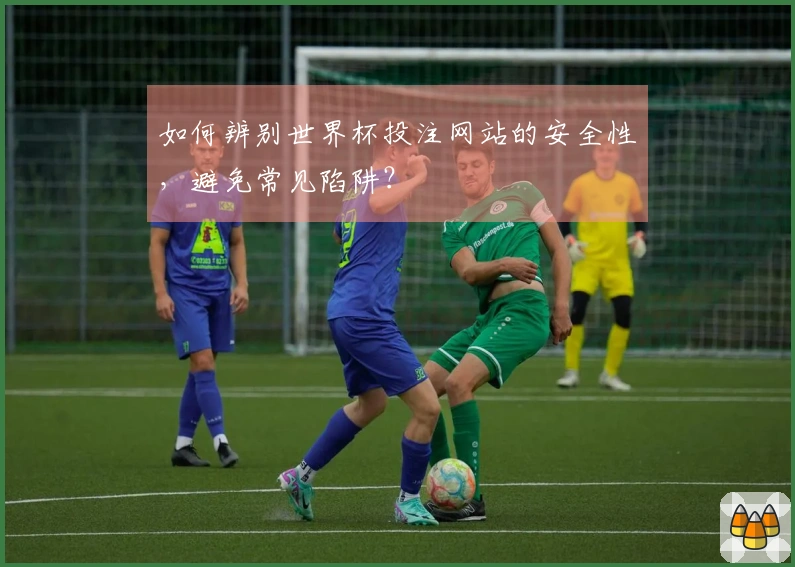 如何辨别世界杯投注网站的安全性,避免常见陷阱?